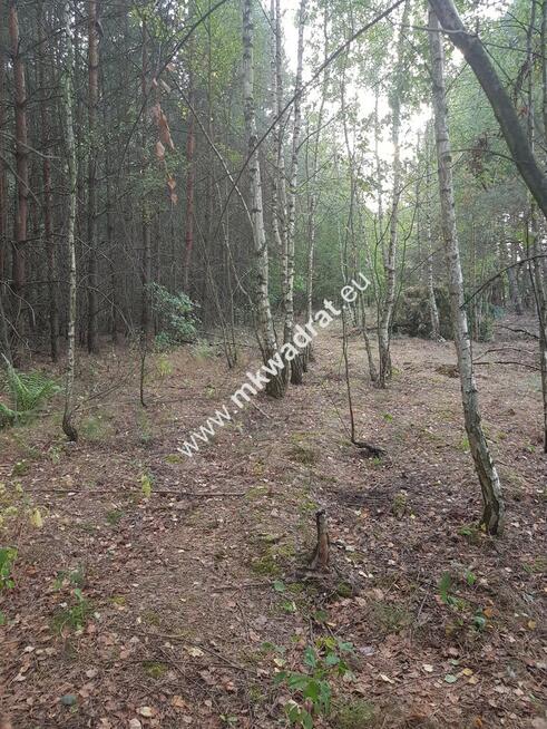 Działka przy drodze gminnej z MPZP