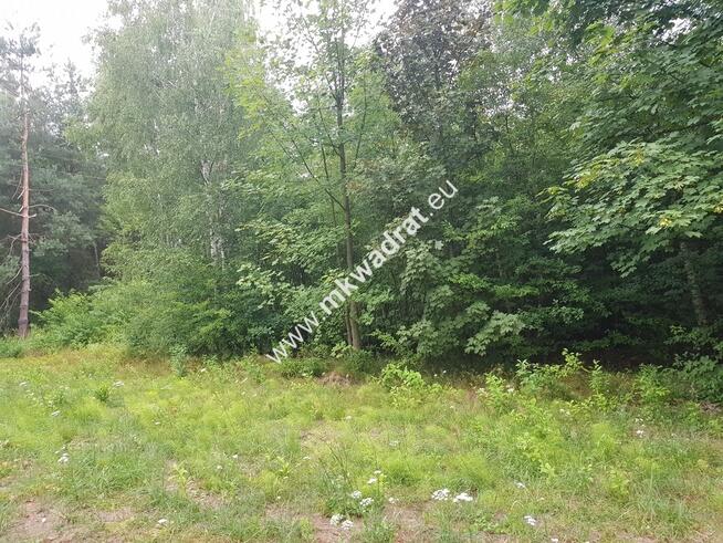 działka siedliskowa przy ulicy gminnej