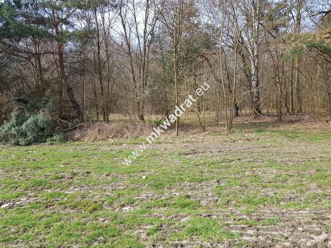 Borszyce gm. Kowiesy działka 2514 m