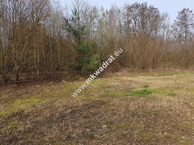Borszyce gm. Kowiesy działka 11 128 m