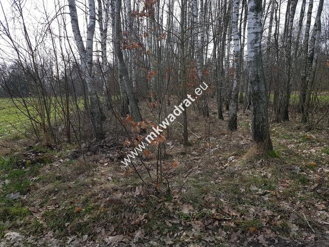 Borszyce gm.Kowiesy działka 7 283 m