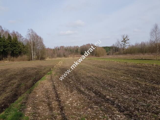Borszyce gm.Kowiesy działka 7 283 m