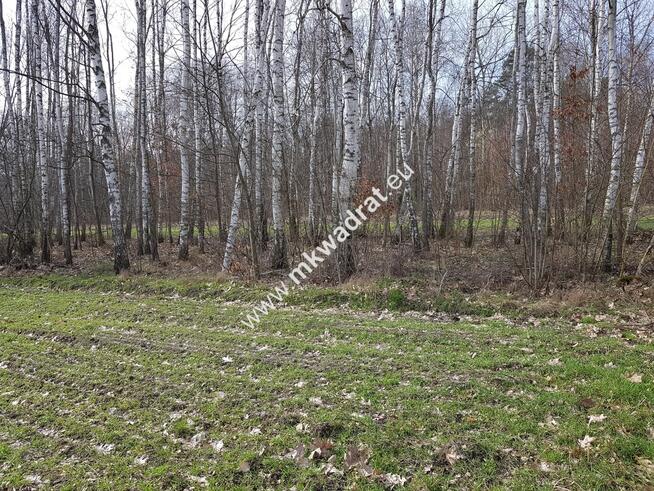 Borszyce gm.Kowiesy działka 3282 m