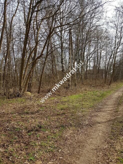 Borszyce gm.Kowiesy działka 3282 m