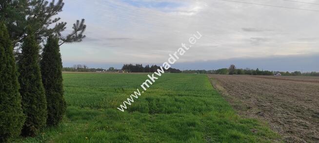3416m2 Pasikonie k/Kampinosu z warunkami zabudowy!