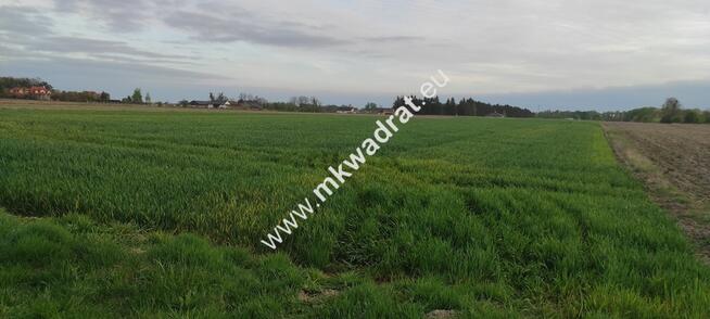 3416m2 Pasikonie k/Kampinosu z warunkami zabudowy!
