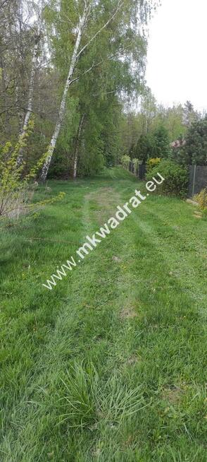 3416m2 Pasikonie k/Kampinosu z warunkami zabudowy!