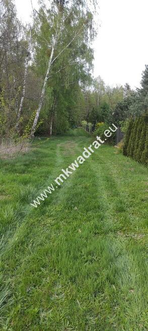 3416m2 Pasikonie k/Kampinosu z warunkami zabudowy!