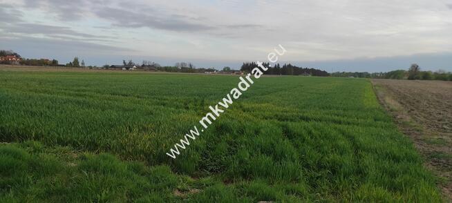 3416m2 Pasikonie k/Kampinosu z warunkami zabudowy!