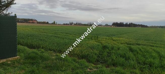 3416m2 Pasikonie k/Kampinosu z warunkami zabudowy!