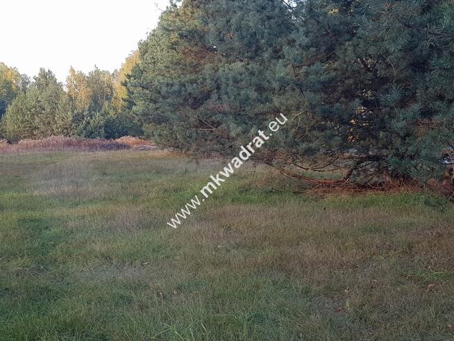 Cicha !! Makówka 1500 m2 + plan zagospodarowania