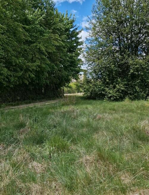 Działka budowlana Bielsk Podlaski,