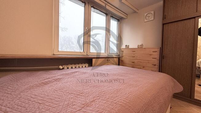 Rzuć kostką i przejmij to pole