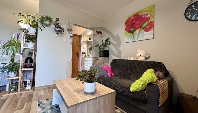 Twoja prywatna strefa Zen