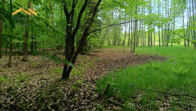 Działka budowlana Rudno gm. Krzeszowice Borki,