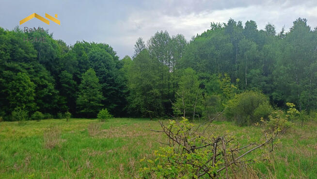 Działka budowlana Rudno gm. Krzeszowice Borki,