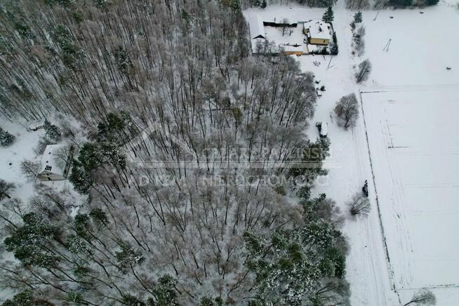 Działka rekreacyjna Wola Uhruska, Wola Uhruska