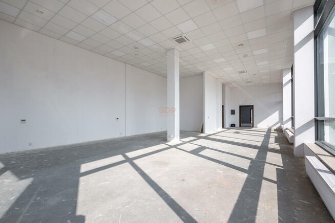 Lokal użytkowy Wrocław Psie Pole, Psie Pole, Żmigrodzka