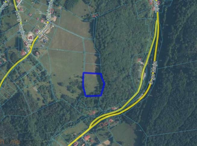 Działka rolna Walim, Adama Mickiewicza