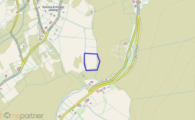 Działka rolna Walim, Adama Mickiewicza