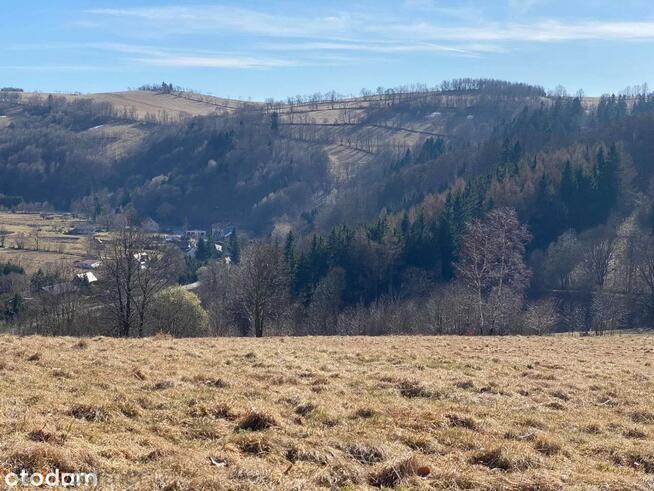 Działka rolna Walim, Adama Mickiewicza