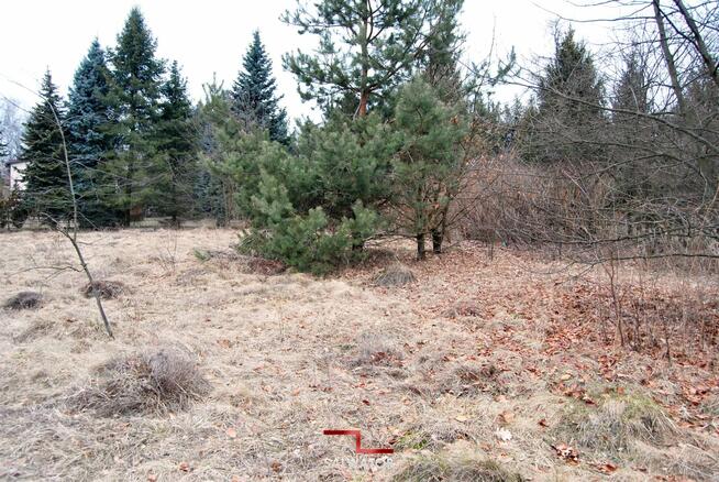 Działka budowlana Trzebinia