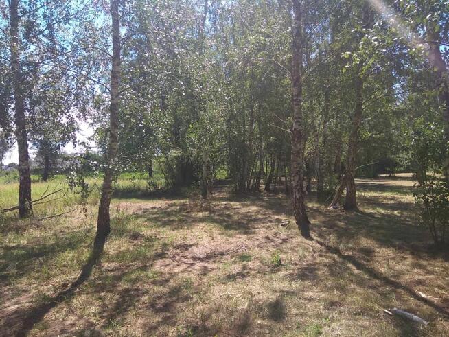 Duża działka w otulinie Kampinosu, Dąbrowa , gm. Łomianki