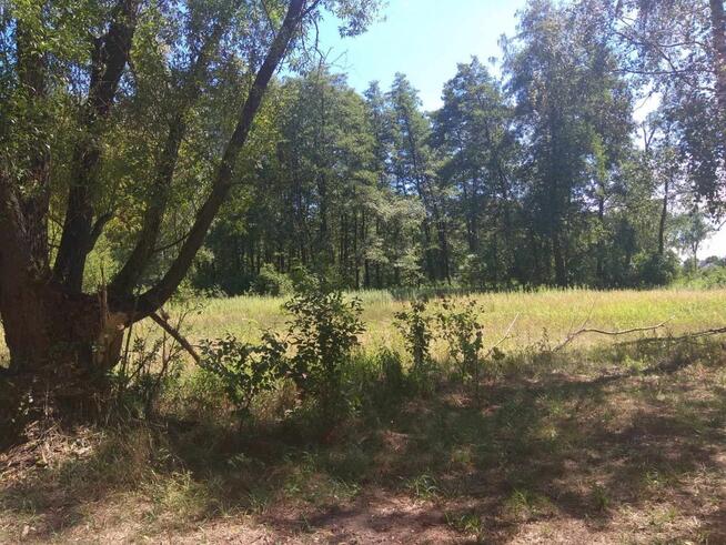 Duża działka w otulinie Kampinosu, Dąbrowa , gm. Łomianki