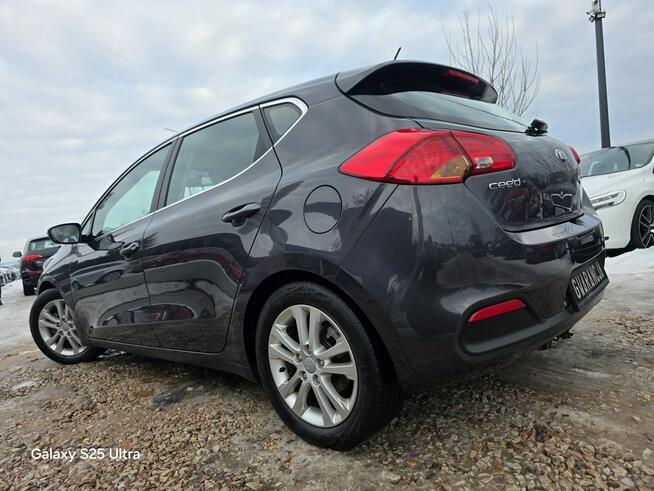 Kia Cee'd 1.6i#135PS#Ledy#Klima#Elektryka#Alus#Świeży Import#Serwis#Gwarancja!!!
