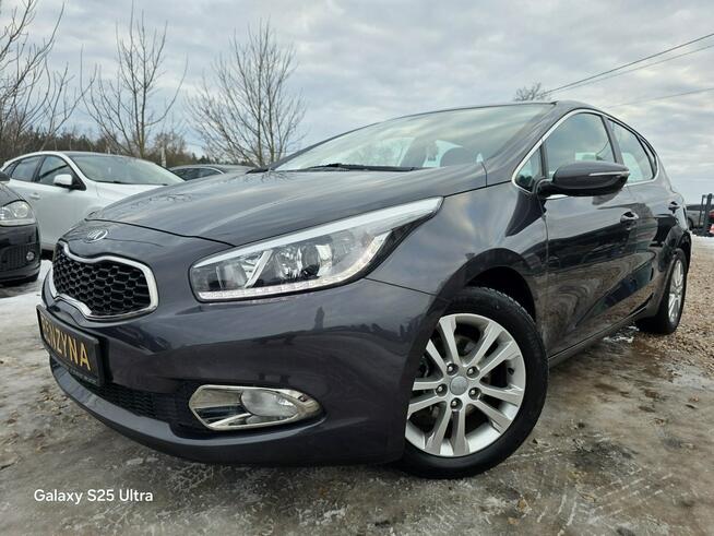 Kia Cee'd 1.6i#135PS#Ledy#Klima#Elektryka#Alus#Świeży Import#Serwis#Gwarancja!!!