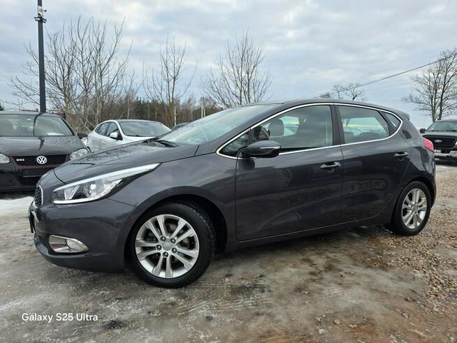 Kia Cee'd 1.6i#135PS#Ledy#Klima#Elektryka#Alus#Świeży Import#Serwis#Gwarancja!!!