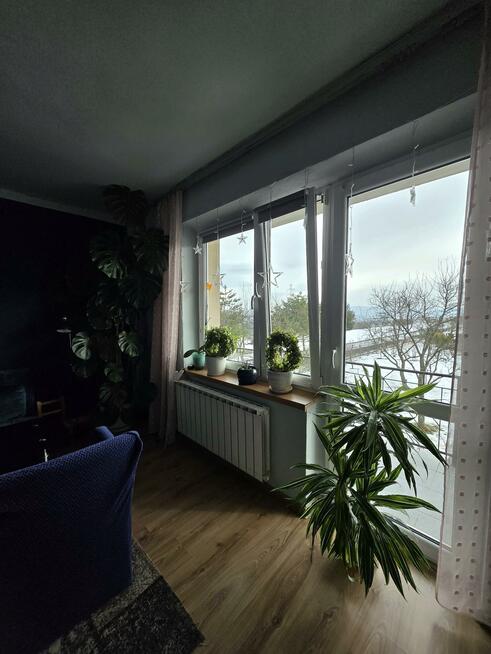 Dom Szczereż gm. Łącko