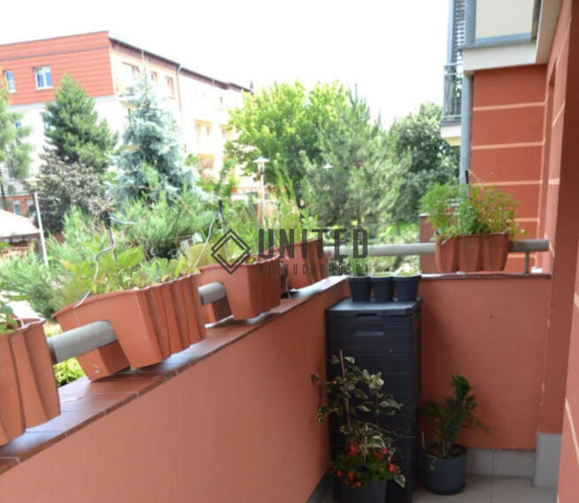 Okolice ulicy Straussa