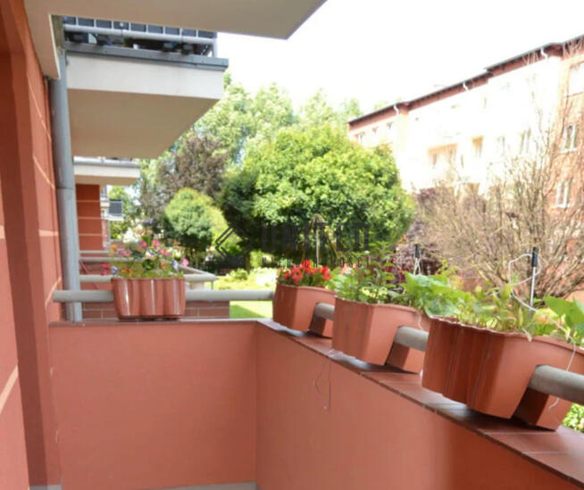 Okolice ulicy Straussa