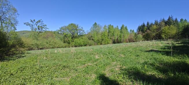 Wyjątkowa działka rolna z lasem i potokiem