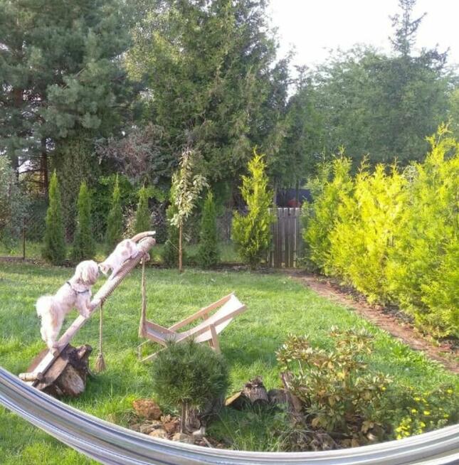 Sprzedam działkę rekreacyjną