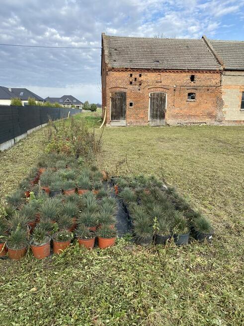4 działki budowlane jako całość