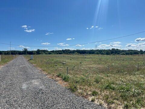 działki pod domki przy jeziorze Pławniowice -dzierżawa