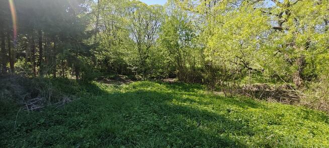 Wyjątkowa działka rolna z lasem i potokiem