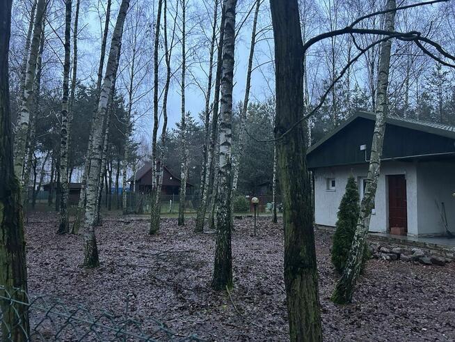 Działka z domkiem Mstowo ul. Borówkowa Chodecz