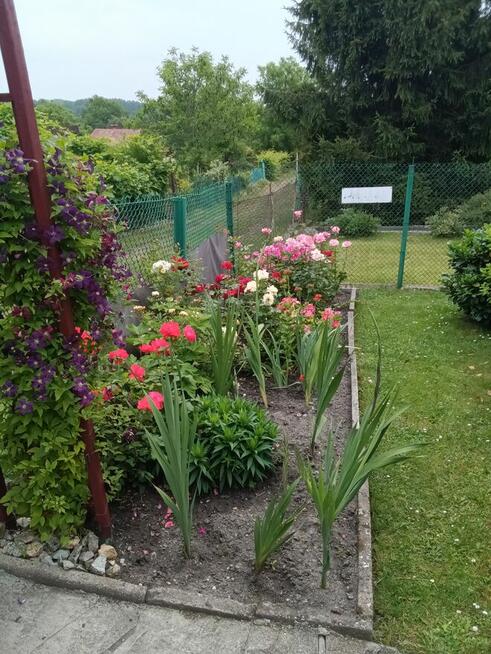 Sprzedam działkę gród łan Bytom