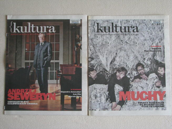 Kultura – Program TV Dziennik Gazeta Prawna lata 2010 – 2014