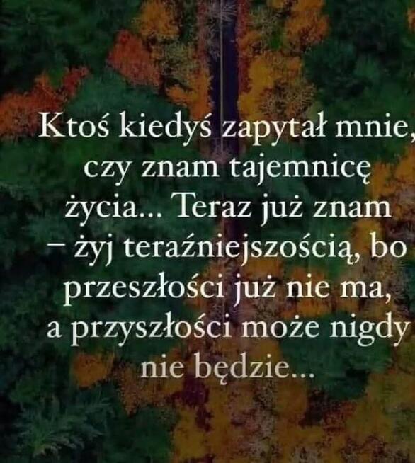 Chcę stworzyć coś stałego i trwałego