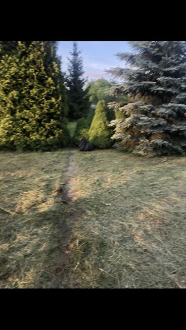 NOWOŚĆ NAJTANIEJ REKREACYJNA ROD W BIAŁYMSTOKU OK 300m2