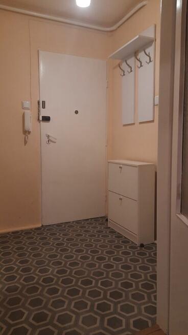 Kawalerka do wynajecia