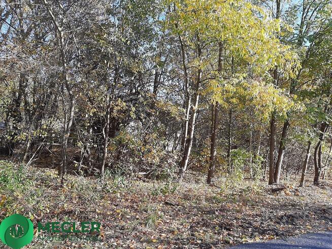 Działka w otulinie Lasu Młochowskiego