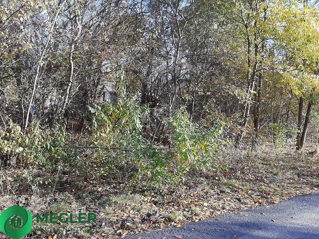 Działka w otulinie Lasu Młochowskiego