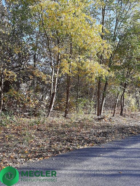 Działka w otulinie Lasu Młochowskiego