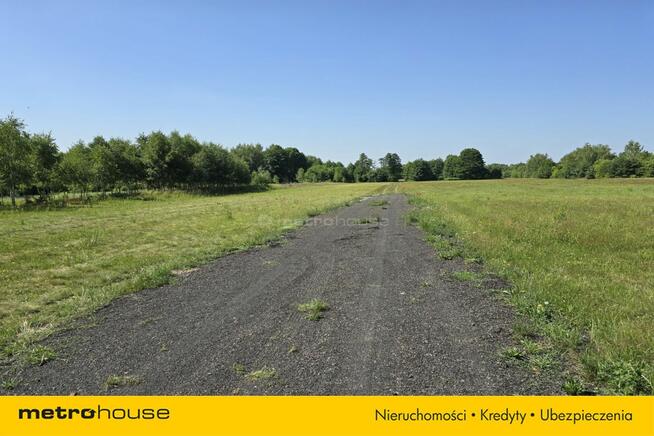 DZIAŁKA DLA KONESERA CISZY I SPOKOJU