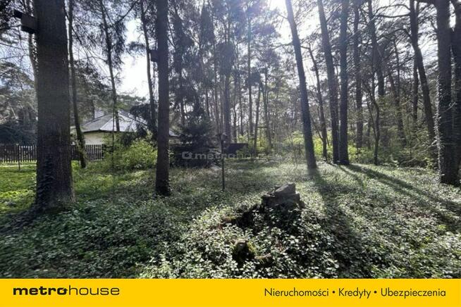 Działka Sokolniki-Las, ul. Kasprowicza